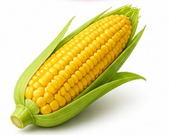 ذرة
