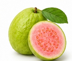 جوافة