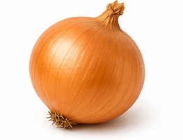 بصل