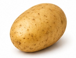 بطاطس